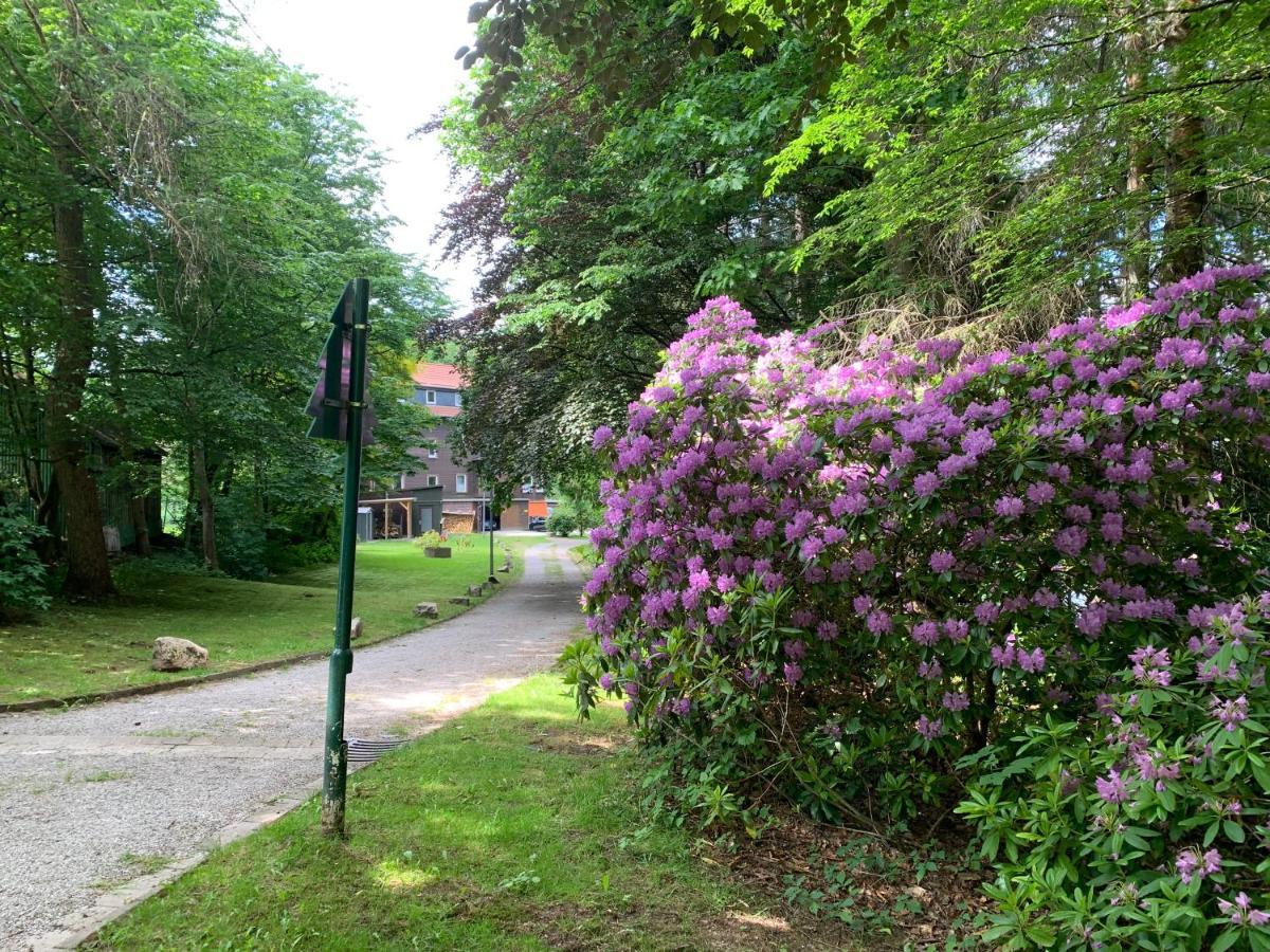 Appartamento Haus Am Kurpark Clausthal-Zellerfeld Esterno foto