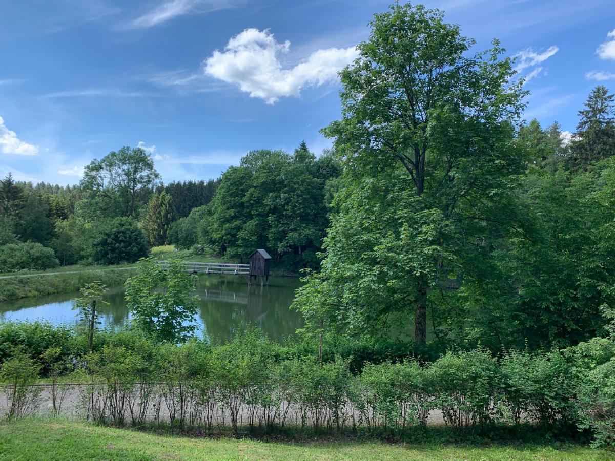 Appartamento Haus Am Kurpark Clausthal-Zellerfeld Esterno foto