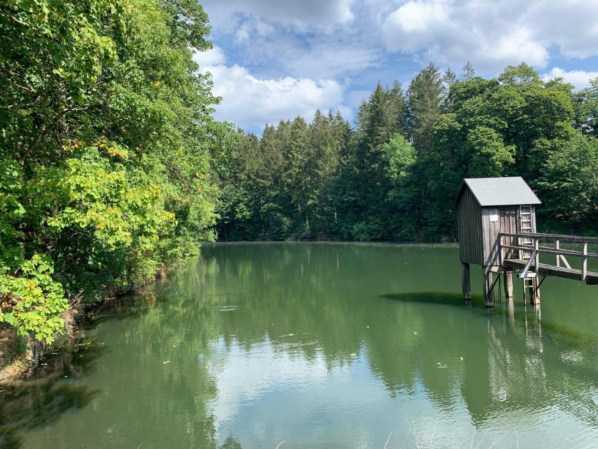Appartamento Haus Am Kurpark Clausthal-Zellerfeld Esterno foto